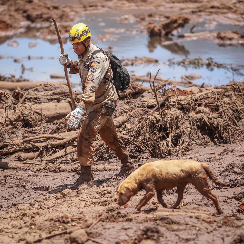 Foto 1: Rettungskräfte suchen nach dem Dammbruch mit Suchhunden nach Leichen. Auch 6 Monate nach dem Dammbruch sind noch nicht alle Verschwundenen gefunden, immer noch sind Leichen im Schlamm verschüttet. Foto: Ricardo Sturk, Movimento dos Atingidos por Barragens (MAB), Brasilien