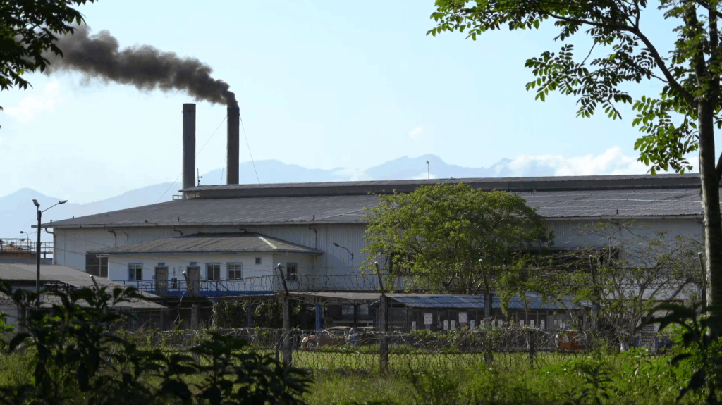 Dinant Mill: Die von Dinant betriebene Ölmühle in Colón liegt in direkter Nähe zu der Kooperative El Chile, die für die Anerkennung ihrer Landrechte streitet