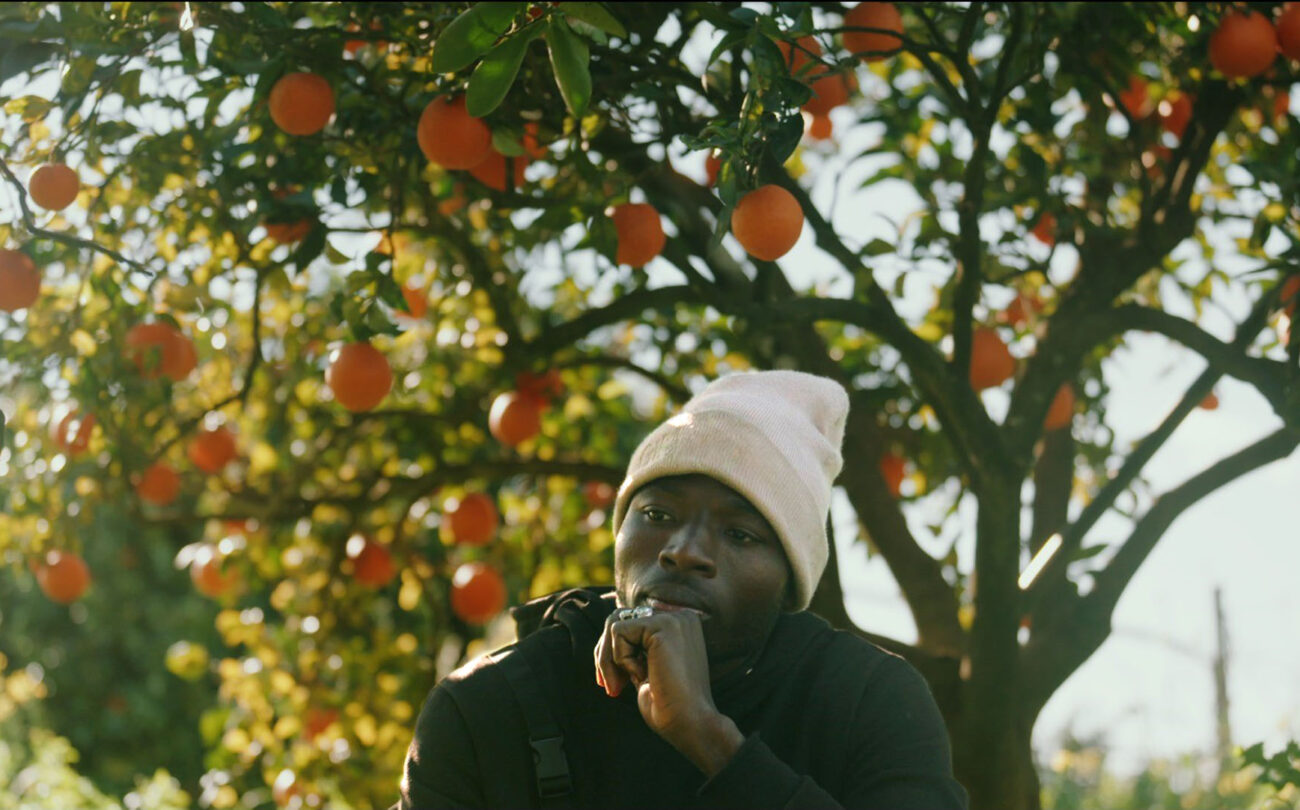Filmscreening: THE PICKERS – Ausgebeutet für unser Obst?