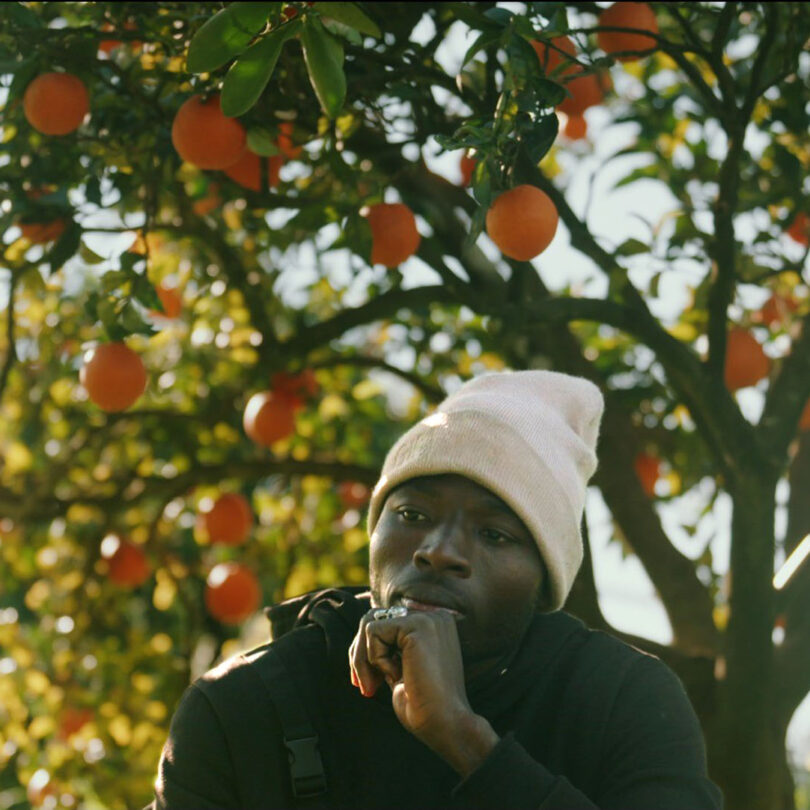 Filmscreening: THE PICKERS – Ausgebeutet für unser Obst?